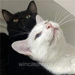 Avatar Florencia Armenta